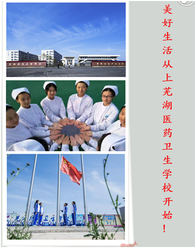 IMG_6321.PNG